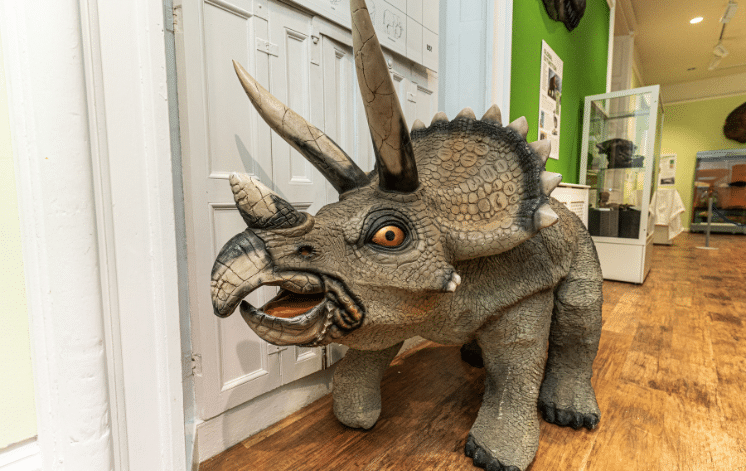 Extinction_1