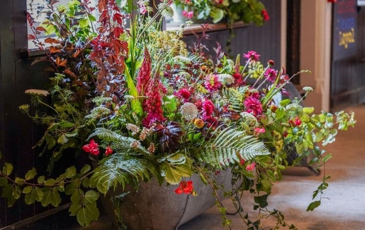 Flower Festival