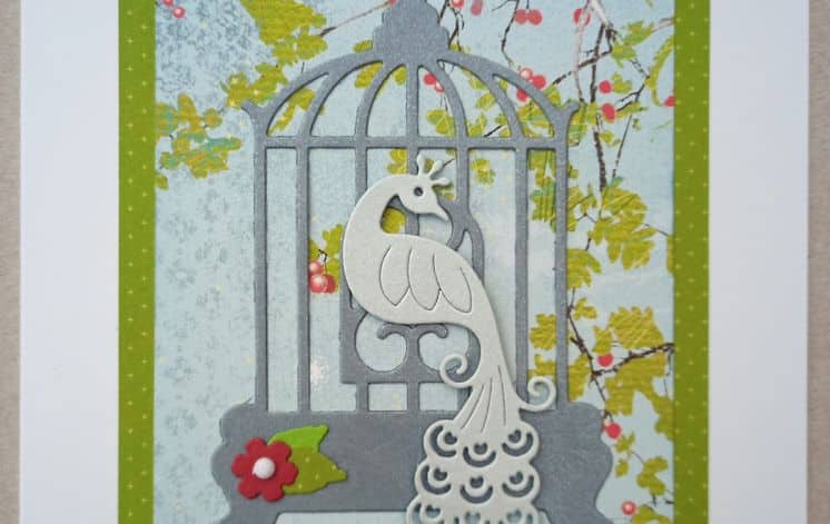 Adult Card making