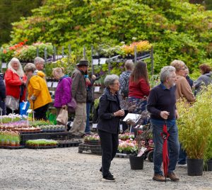 Ushaw Plant Fair 2024