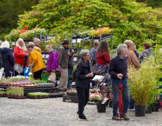 Ushaw Plant Fair 2024