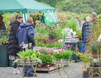 Specialist Plant and Garden Fair Event Summary: Discover specialist nurseries from across the country with rare and...